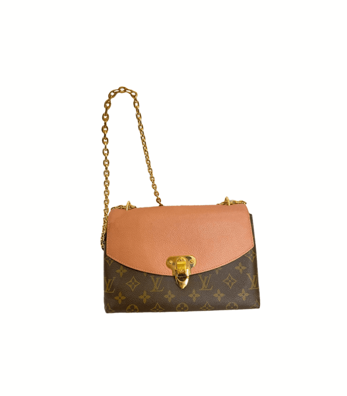 Louis Vuitton Monogram Saint Placide